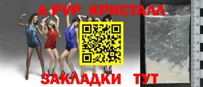 ешки Славгород