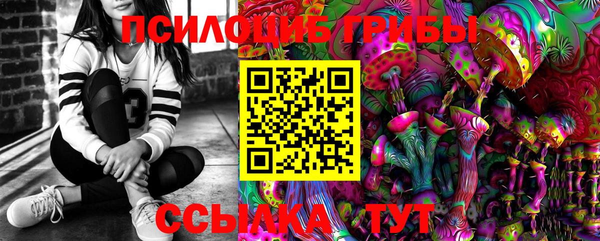 Назарово  Галлюциногенные грибы Psilocybe  Вход с VPN 